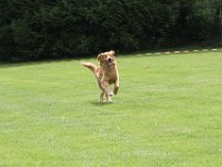 Bendix und das Boxband (40)